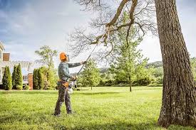 Reliable Guymon, OK  Tree Services Solutions